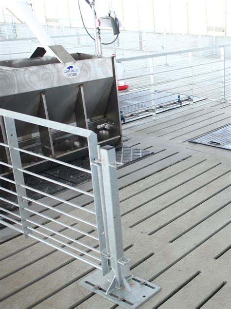 concrete pig slats|Hog Slats .